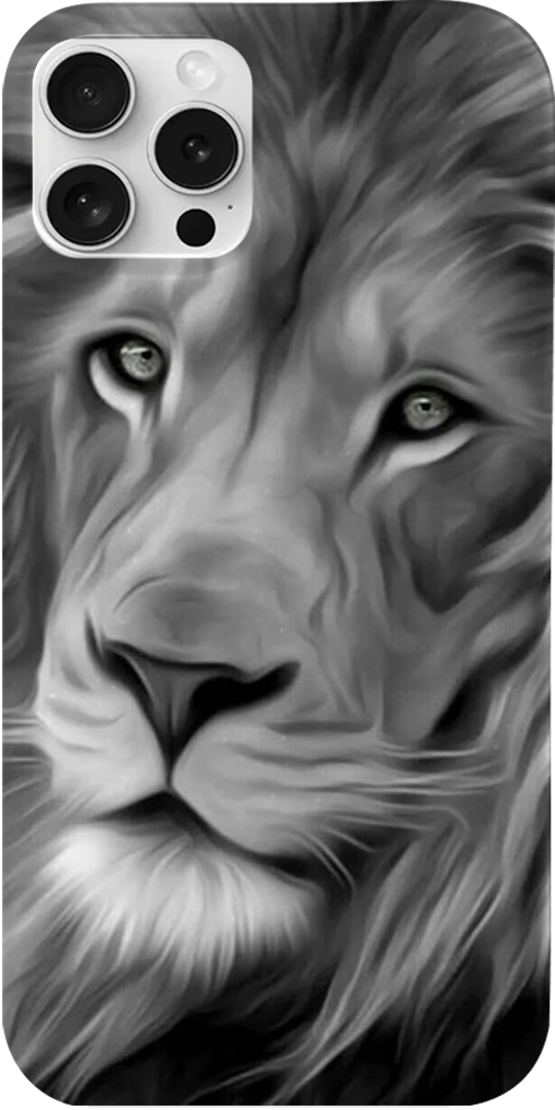 Cover Leone