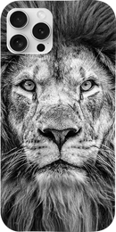 Cover Leone 2