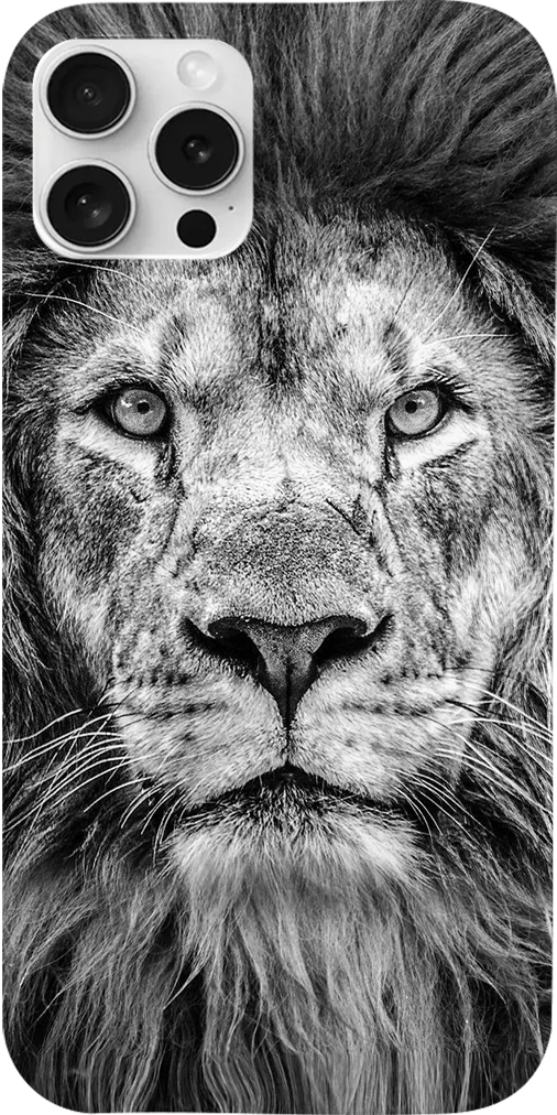 Cover Leone 2